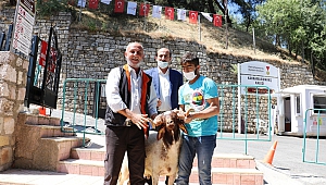 Kalenin Açılışına Sevindi, Koç Kurban Etti