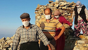 Uğur Böceklerinden Görsel Şölen