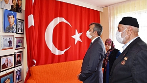 Vali Sezer: 