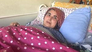 Yürümek İçin Yardım Bekliyor