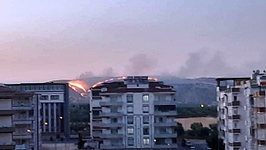 Zergil Dağı'ndaki Orman Yangını Söndürüldü