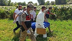 Ayçiçeği Tarlasında Cansız Bedeni Bulunan Engelli Tabanca İle Vurulmuş