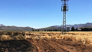 Elektrik Teline Çarpan Karga Buğday Tarlasını Yaktı