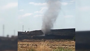 Kahramanmaraş'ta Orman Yangını
