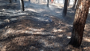 Kahramanmaraş'ta Orman Yangını