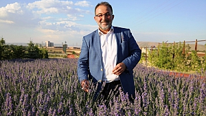 Lavanta Şehri: Afşin