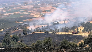 Nurdağı'nda Orman Alanda Yangın