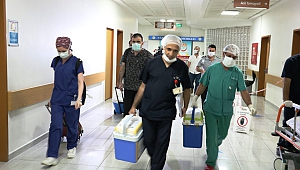 Organları 3 Hastaya Umut Oldu