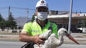 Yaralı Leyleğe Polisten Şefkat Eli