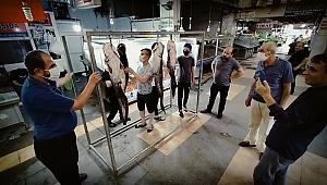 Bir Buçuk Metrelik Yayın Balıklarına Büyük İlgi