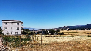 Bu Tarla Yüzünden Baba Cezaevine, Oğlu ve Gelini Mezara Girdi