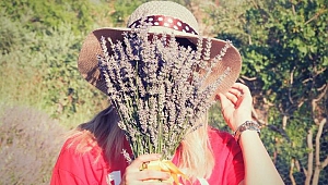 Genç Ziraat Mühendisinin Lavanta Hasadı Sevinci