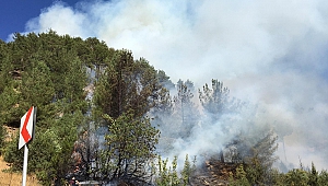 Kahramanmaraş’ta 10 Hektarlık Ormanlık Alan Yandı