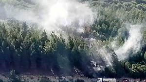 Kahramanmaraş’ta Orman Yangını