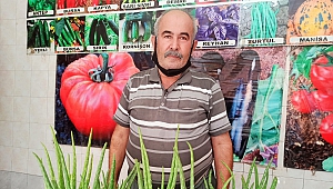 Aleo Veraya Yoğun İlgi
