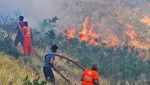 Kahramanmaraş’ta 10 Hektar Orman Zarar Gördü