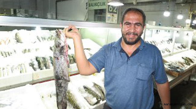 Kahramanmaraş’ta Balık Fiyatları Cep Yakıyor