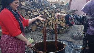 Kahramanmaraş’ta Bağ Bozumu Başladı