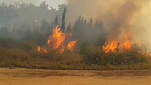 Kahramanmaraş ve Hatay’daki Orman Yangınlarına Müdahale Sürüyor