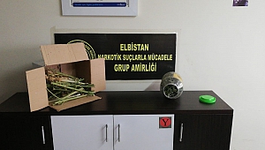Ekinözü’nde Uyuşturucu Operasyonu