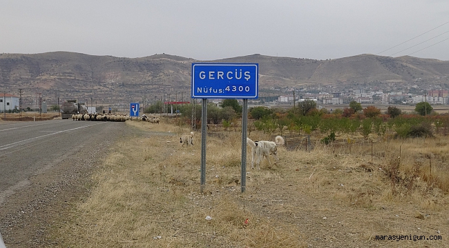 Gercüş Ovası Koruma Altına Alındı
