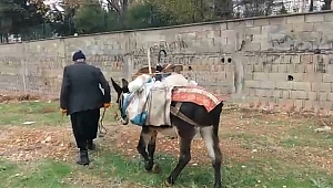 80 Yaşında Hurdacılık Yaparak Geçimini Sağlıyor