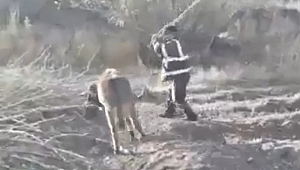 Bağladığı Eşeğe Dakikalarca İşkence Etti