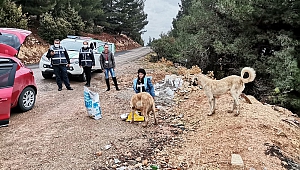 Polis Ekipleri Bu Kez Sokak Hayvanları İçin Görevde