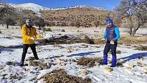 Yabani Hayvanlar İçin Doğaya Yem Bıraktılar