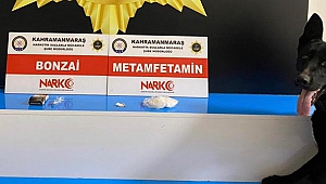Kahramanmaraş’ta Uyuşturucu Satıcısı 6 Kişi Tutuklandı