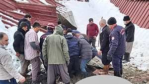 Yoğun Kar Yağışı Sonrası Besi Ahırlarının Çatısı Çöktü