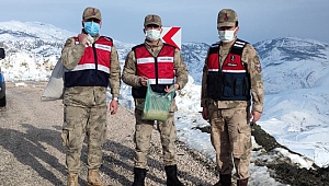 Jandarma Yaban Hayvanlarını Unutmadı