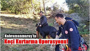Kahramanmaraş’ta Keçi Kurtarma Operasyonu