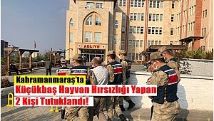 Kahramanmaraş’ta Küçükbaş Hayvan Hırsızlığı Yapan 2 Kişi Tutuklandı!