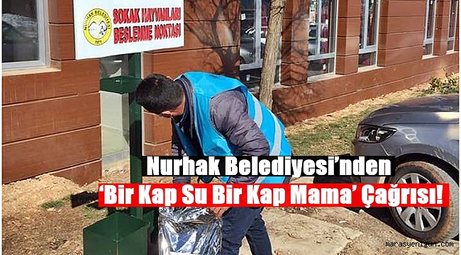 Nurhak Belediyesi’nden ‘Bir Kap Su Bir Kap Mama’ Çağrısı!