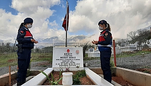 Jandarma Şehit Mezarlarını Temizledi Aileleri Ziyaret Etti