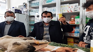 Kulağı ve Kuyruğunu Kestikleri Yavru Köpeği Ölüme Terk Ettiler