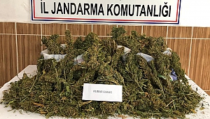 Otomobilde Uyuşturucu Sevkiyatına Jandarma Engeli
