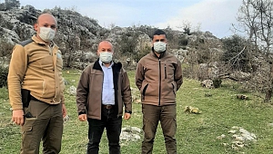 Pazarcık’ta Kurak Avı Yapan 2 Kişi Yakalandı