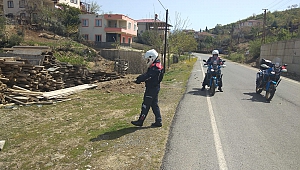 Kaplumbağayı Ezilmekten Jandarma Kurtardı