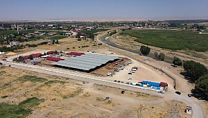 Elbistan’da Şap Karantinası