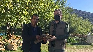 Yaralı Şahine Vatandaşlar Sahip Çıktı