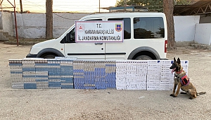 Kahramanmaraş’ta 11 Bin 540 Paket Kaçak Sigara Ele Geçirildi