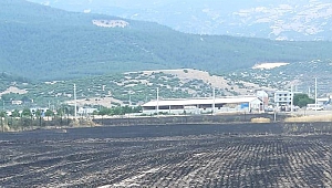 Kahramanmaraş’ta 200 Dekar Buğday Tarlasıyla Besi Ahırı Kül Oldu