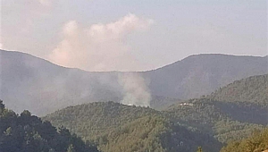 Kahramanmaraş’ta Gece Yarısı 2 Ayrı Noktada Orman Yangını