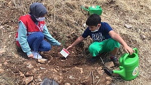 Kahramanmaraş’ta Şehitlerin Adı Fidanlarla Yaşayacak