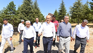 Kahramanmaraş’ın Gözdesi Yalnız Ardıç Olacak