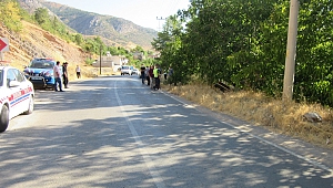 Kahramanmaraş’ta Otomobilin Kontrolünü Kaybeden Sürücü Ağaca Çarptı: 2 Yaralı