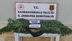 Pazarcık’ta Uyuşturucu Operasyonu