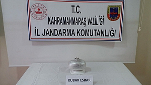 Aracında Uyuşturucu Bulunan Sürücü Gözaltına Alındı